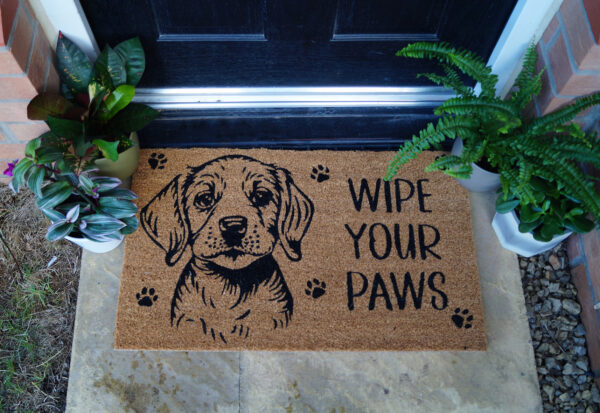 Latex Backed Coir Mat - Wipe Your Paws
