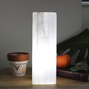 Alternative view of Selenite Tree of Life Block Lamp - 25cm