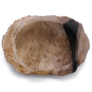 Alternative view of Petrified Wood Black Soap Dish