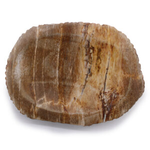 Alternative view of Petrified Wood Brown Soap Dish