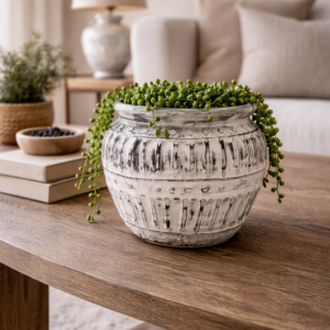 Cream terracotta plant pot with textured tribal detailing styled on a wooden coffee table with a trailing string of pearls plant in a warm neutral living room