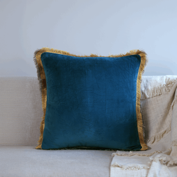 Asher Velvet Cushion