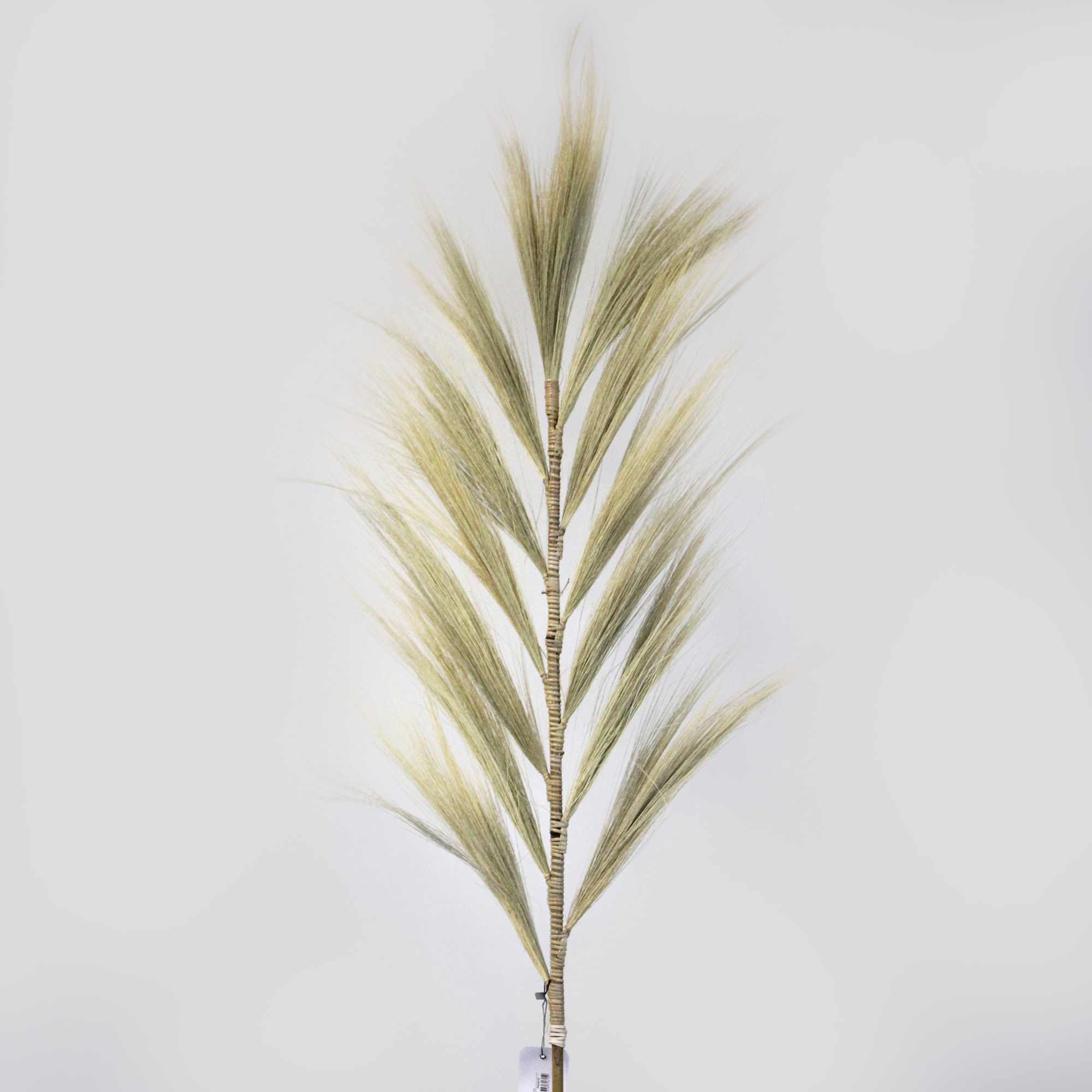 Rayung Grass Pampas Display Blonde 1.6m - Image 11
