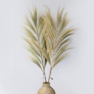 Rayung Grass Pampas Display Blonde 1.6m