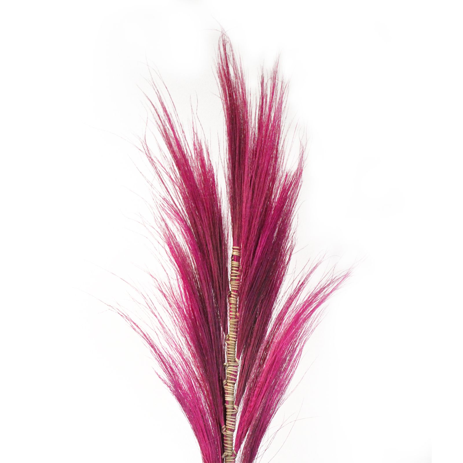 Rayung Grass Pampas Display Pink 1.6m - Image 5