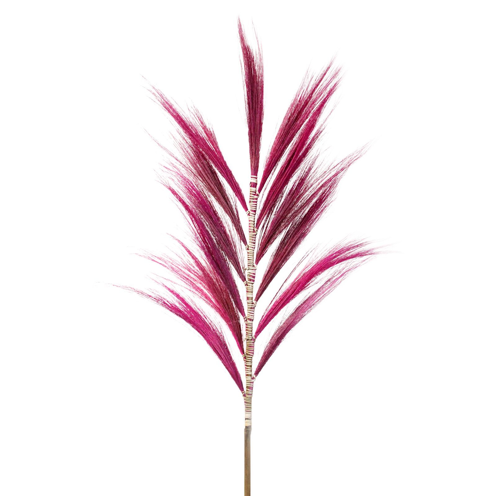 Rayung Grass Pampas Display Pink 1.6m - Image 6