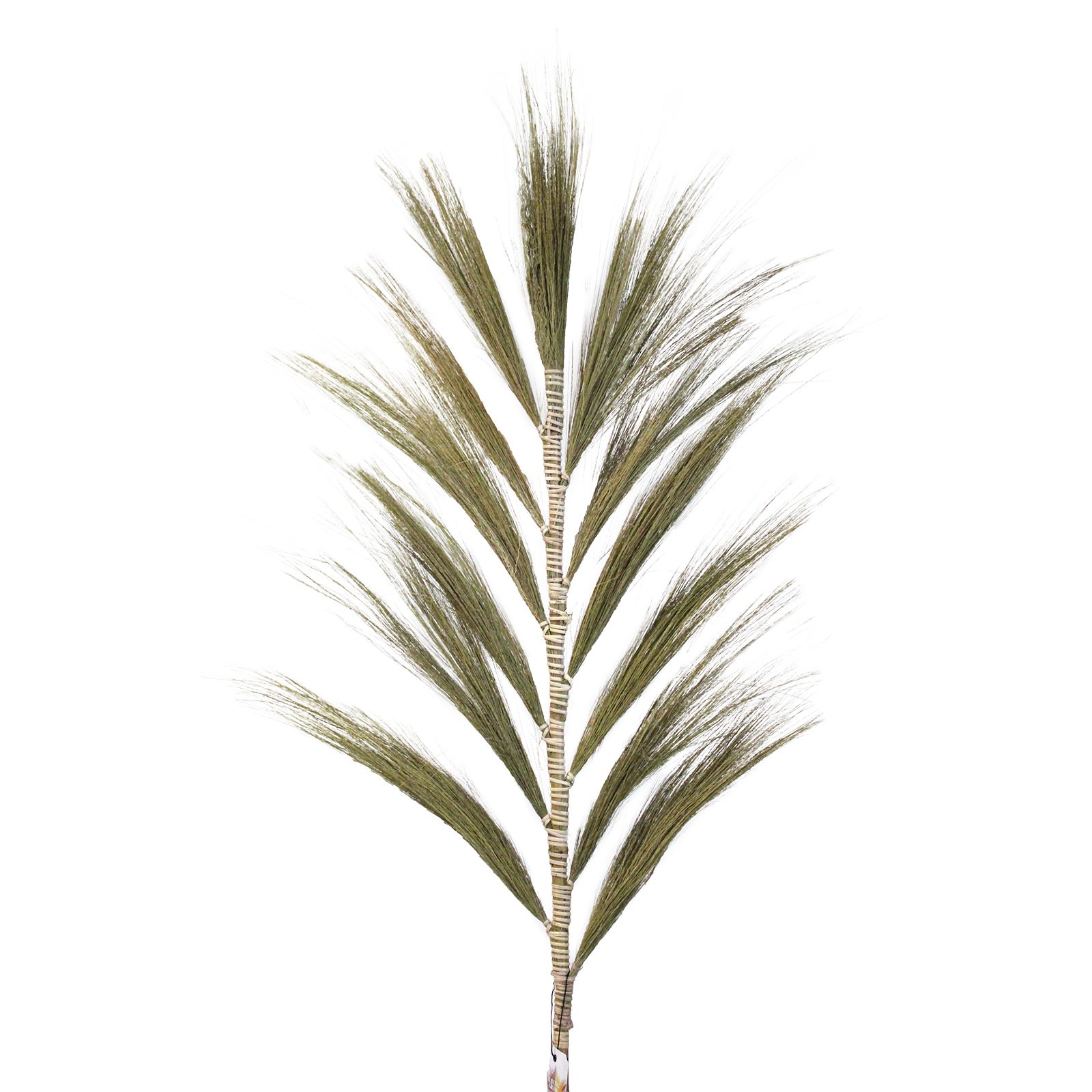 Rayung Grass Pampas Display Natural 1.6m - Image 2