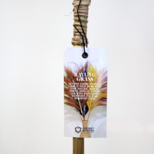 Alternative view of Rayung Grass Pampas Display Pink 1.6m