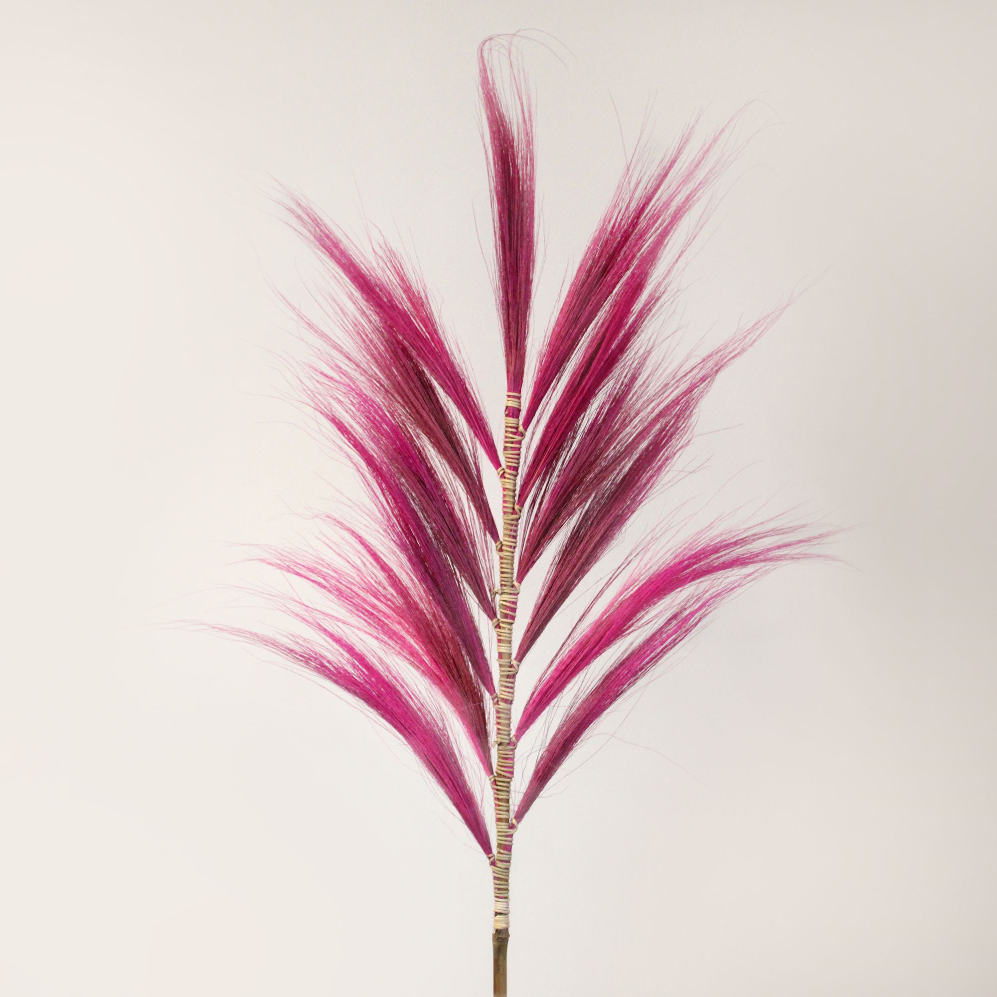 Rayung Grass Pampas Display Pink 1.6m - Image 11