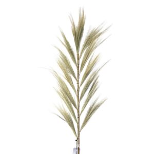 Alternative view of Rayung Grass Pampas Display Blonde 1.6m