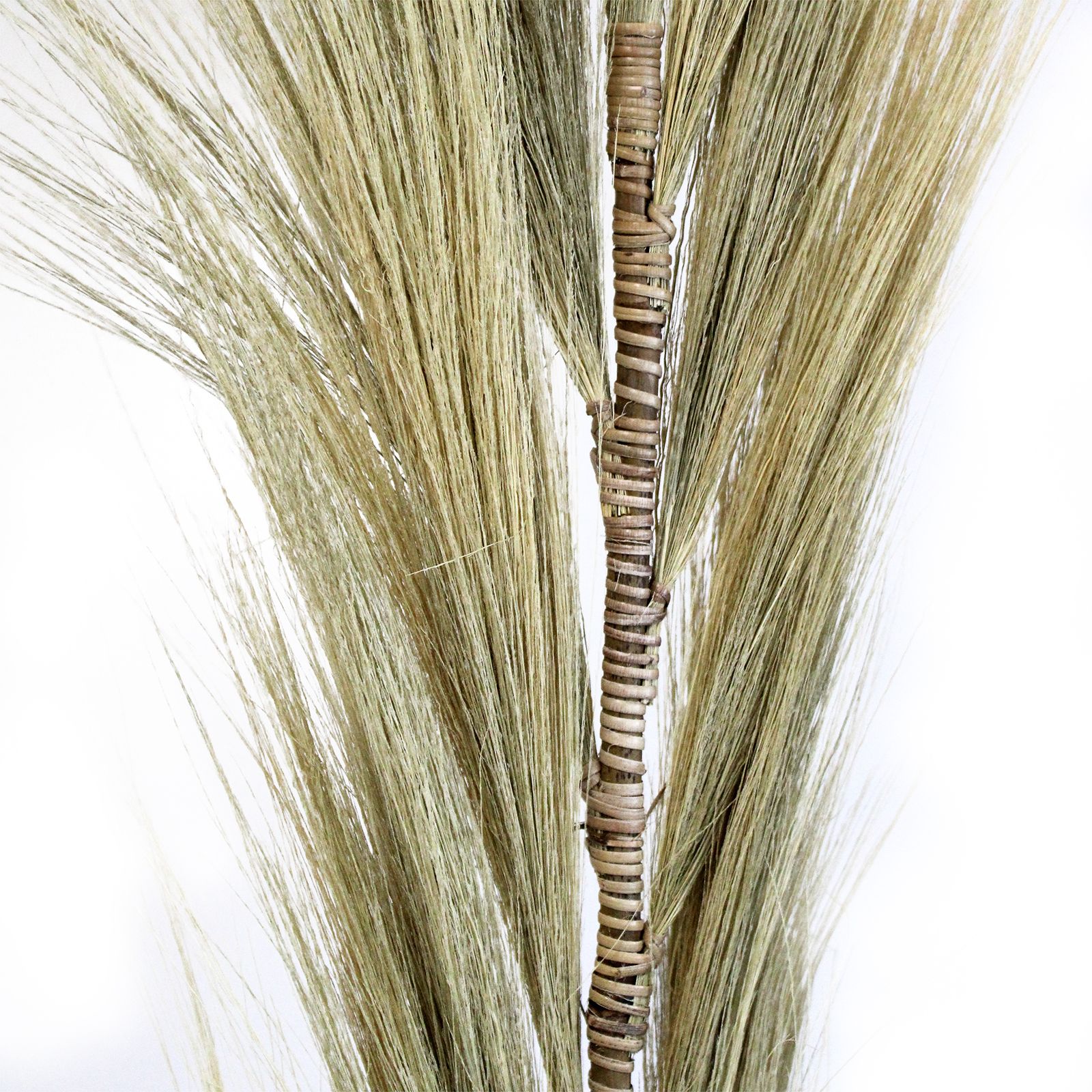 Rayung Grass Pampas Display Blonde 1.6m - Image 3