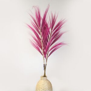 Rayung Grass Pampas Display Pink 1.6m