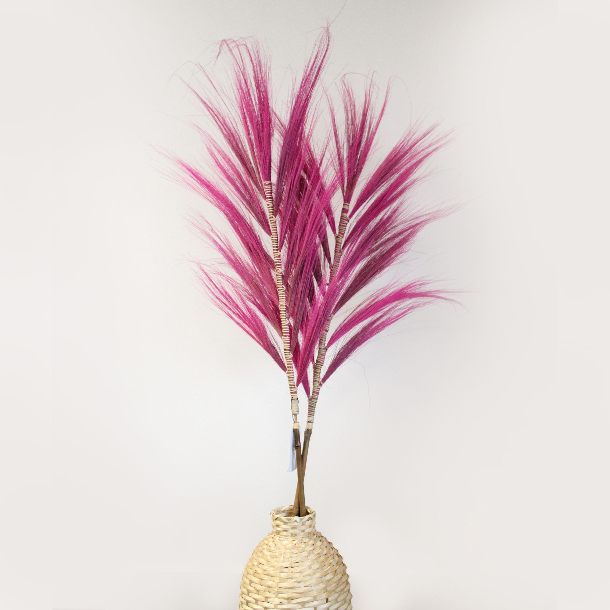 Rayung Grass Pampas Display Pink 1.6m