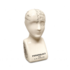 Ceramic phrenology head ornament with crackle glaze finish and detailed cranial markings, isolated on a clean background for product display.
