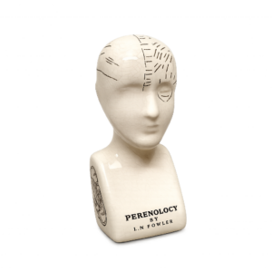 Ceramic phrenology head ornament with crackle glaze finish and detailed cranial markings, isolated on a clean background for product display.