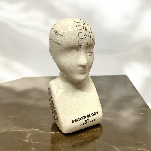 Mini Phrenology Head Ornament – Ceramic Vintage Decor 6 Inch - Image 3