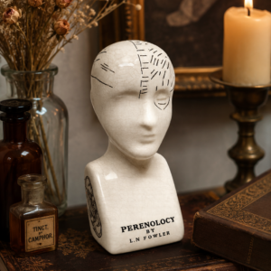 Ceramic phrenology head ornament with crackle glaze finish and detailed markings, styled on a wooden shelf with books and warm ambient lighting in a vintage-inspired interior.