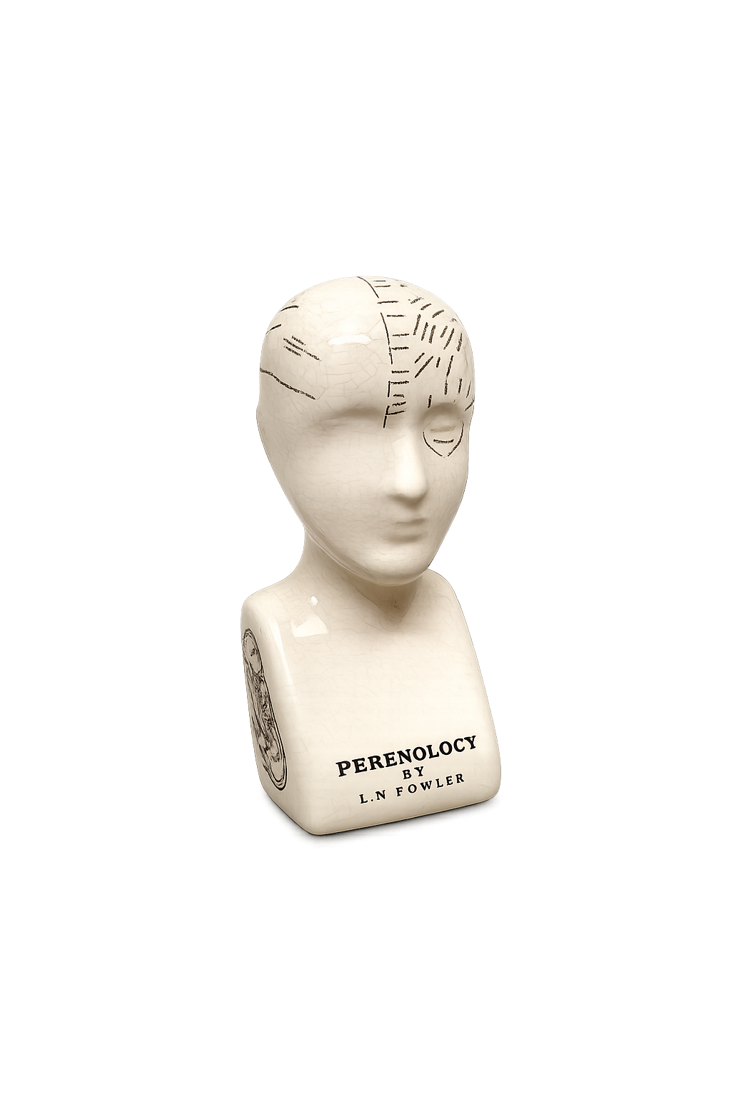 Ceramic phrenology head ornament with crackle glaze finish and detailed cranial markings, isolated on a clean background for product display.